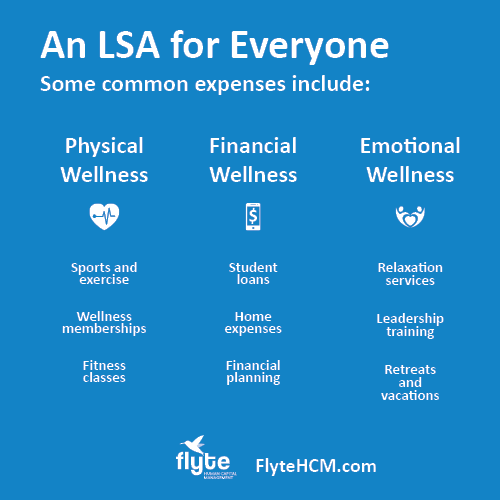 Flyte LSA Expenses Infographic